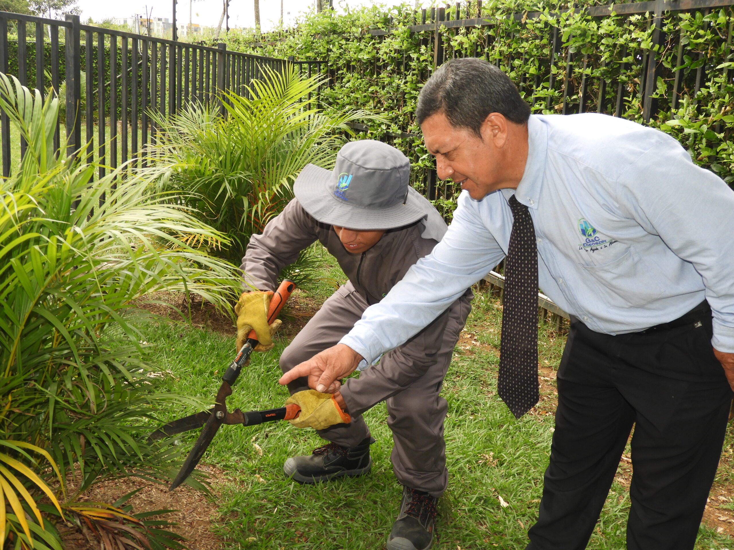 poda y mantenimiento de jardines por ebenezer